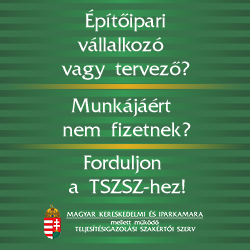 Teljesítésigazolási Szakértői Szerv